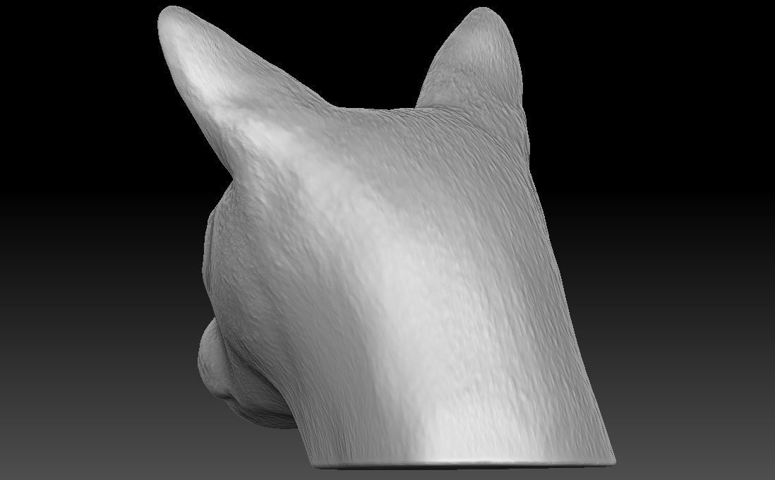 Siamese Cat head for 3D printing 3D print model_10