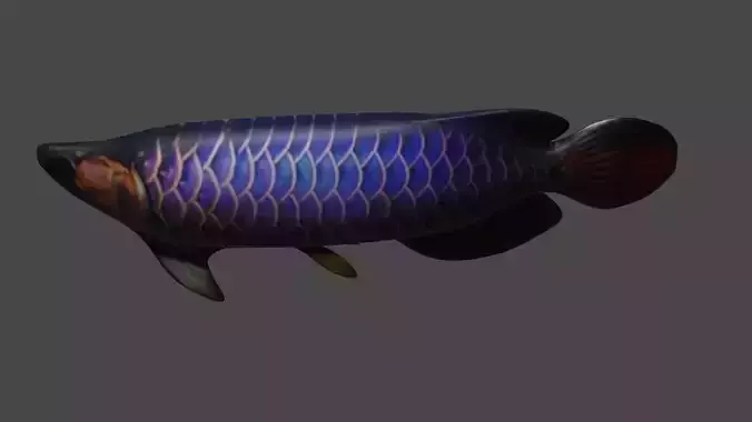 3d fish