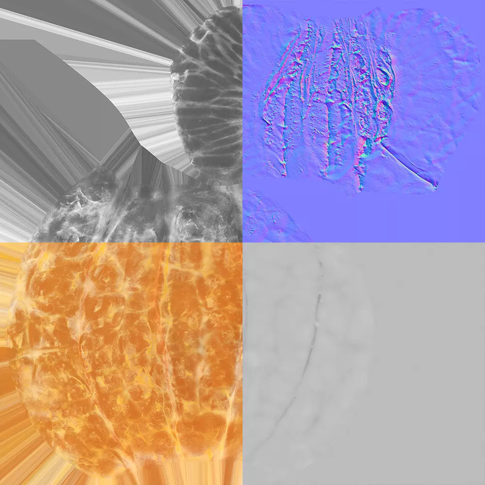 Clementine 3D model_8