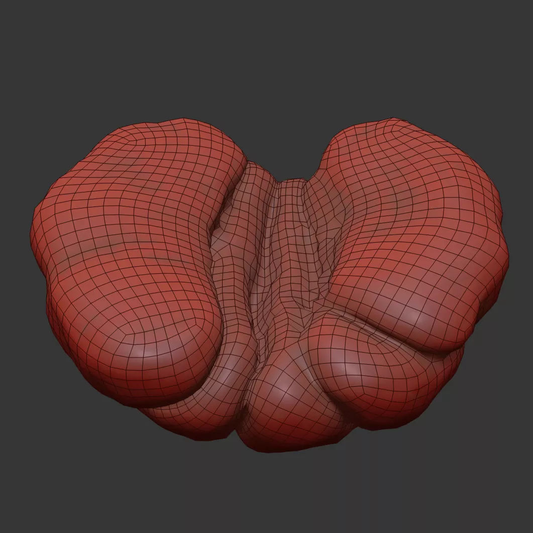 Clementine 3D model_6