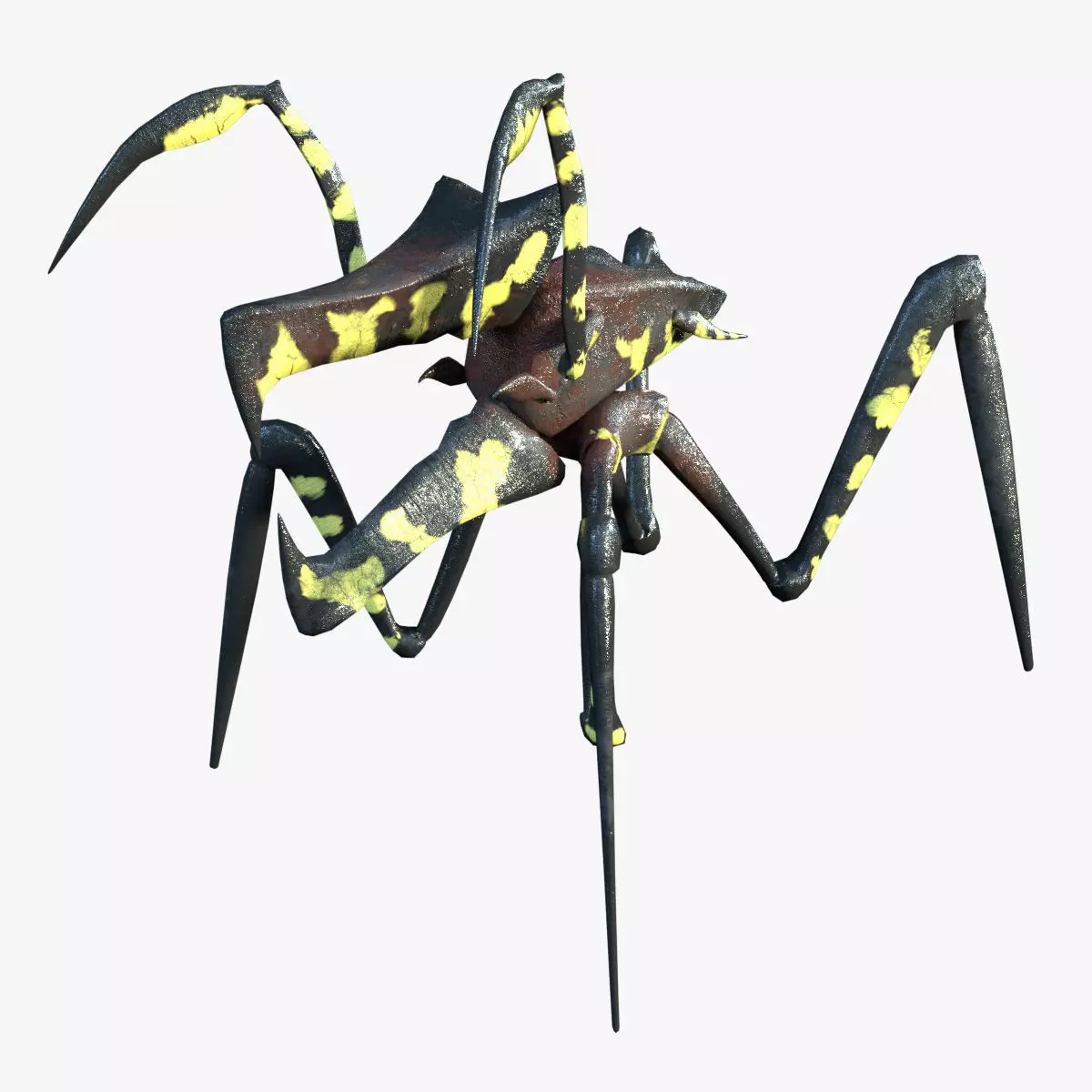 Warrior Bug Low-poly 3D model
