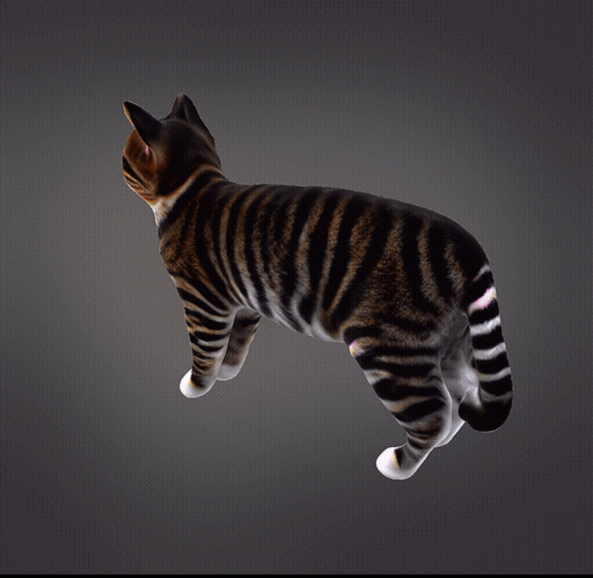 Realistic Cat 3D print model_4