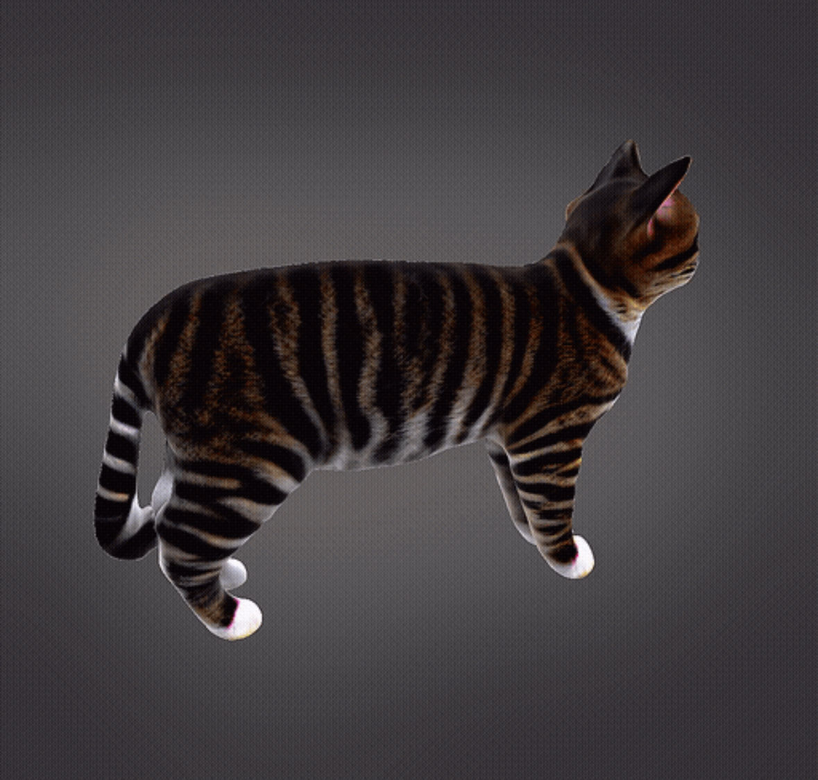 Realistic Cat 3D print model_2