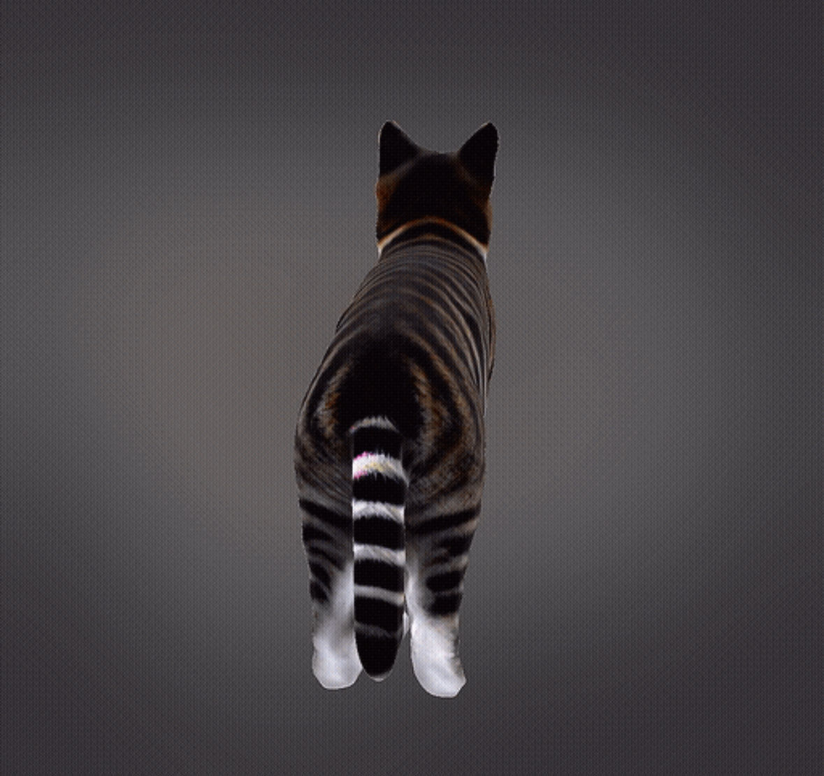 Realistic Cat 3D print model_3
