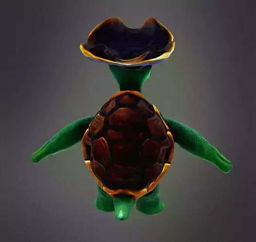 Pirate Turtle 3d Model