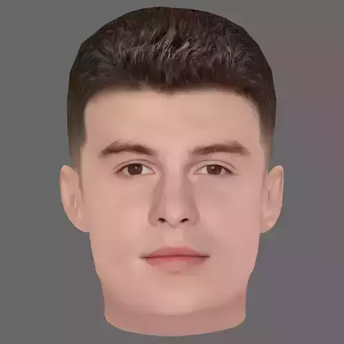 Shawn Mendes Head - Low poly head for game Low-poly