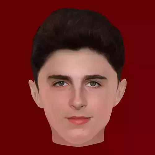 Timothee Chalamet Head - Low poly head for game Low-poly