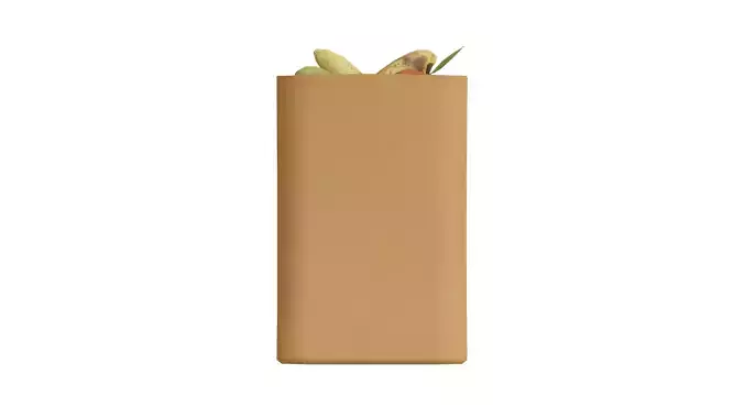 Paper Bag