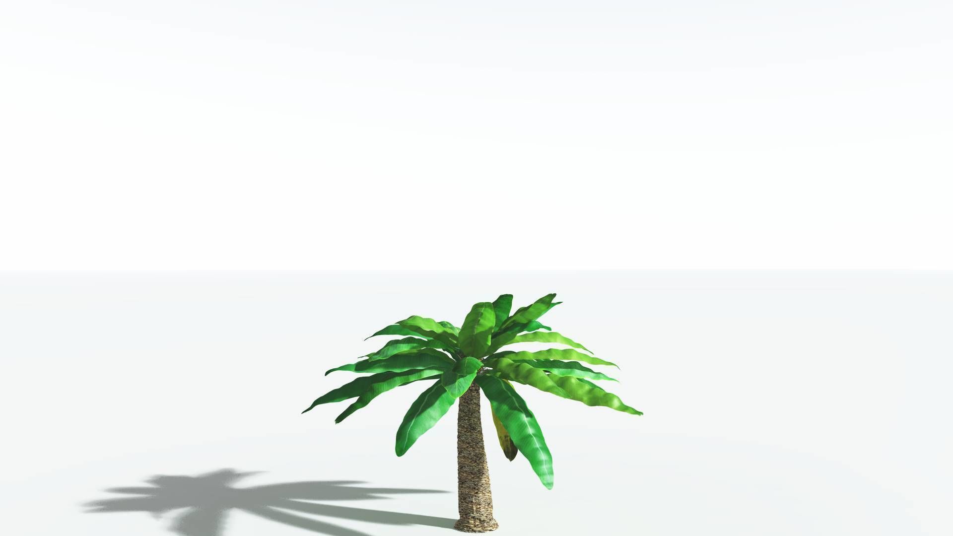 EVERYPlant Bjuvia Cycad 2 --12 Models-- 3D model_16