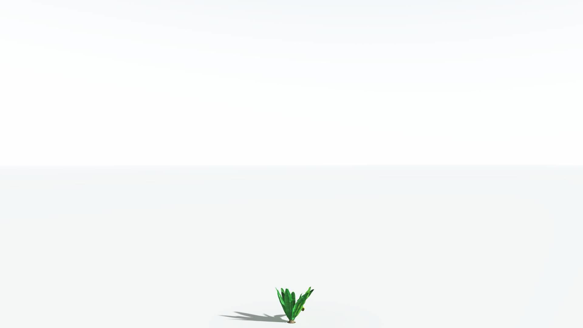 EVERYPlant Bjuvia Cycad 2 --12 Models-- 3D model_20