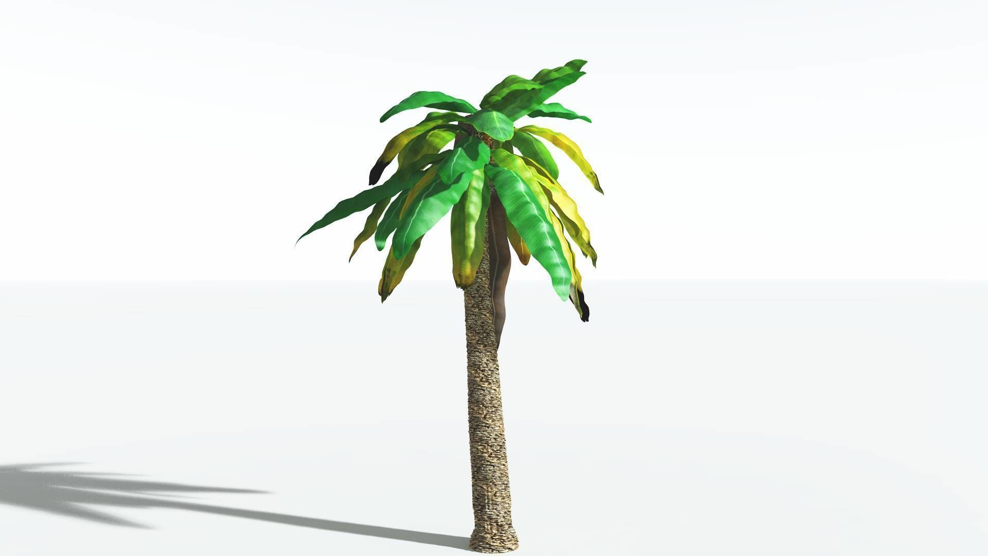 EVERYPlant Bjuvia Cycad 2 --12 Models-- 3D model_6