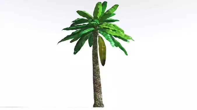 EVERYPlant Bjuvia Cycad 2 --12 Models-- 3D model
