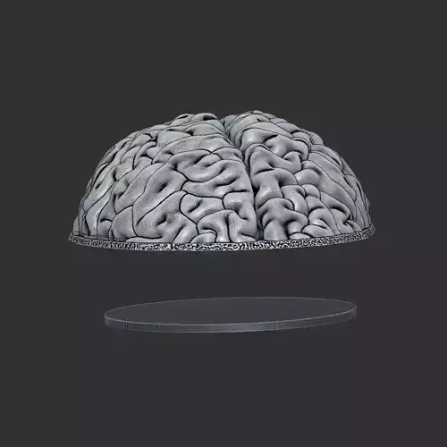 Brain Cap as headgear for the Skull stand and wall lamps
