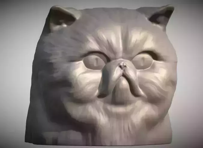 Persian cat head for 3D printing