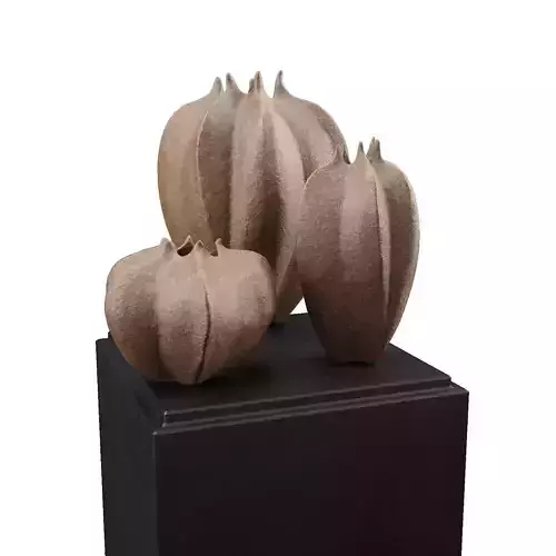 Fisalis vases