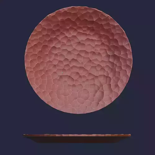 SERVING PLATE 1 STL FILE 3D print model