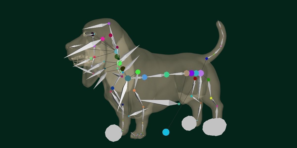 Basset Hound Dog Breed  3D model_14