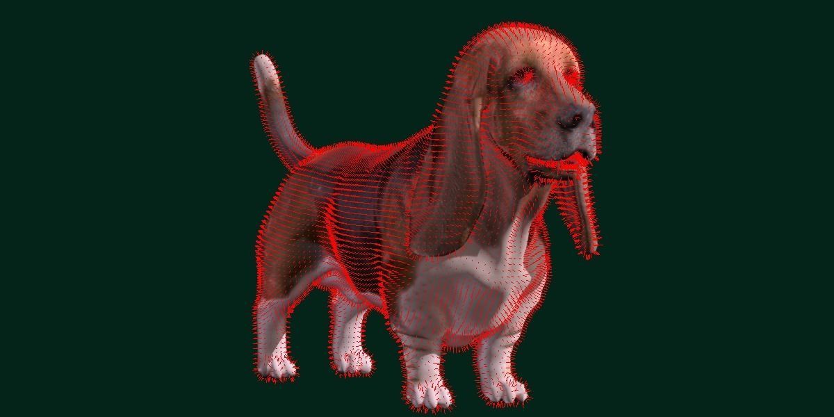 Basset Hound Dog Breed  3D model_8
