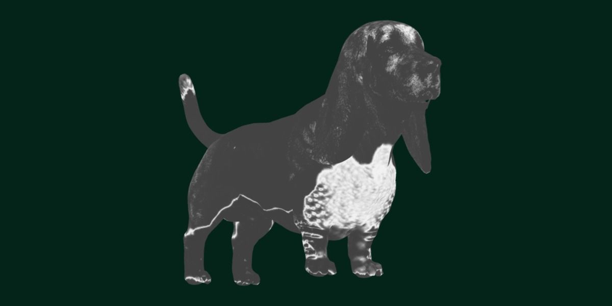 Basset Hound Dog Breed  3D model_19