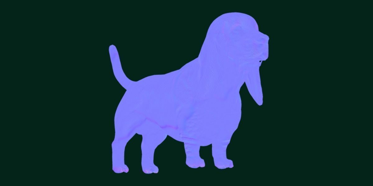 Basset Hound Dog Breed  3D model_18
