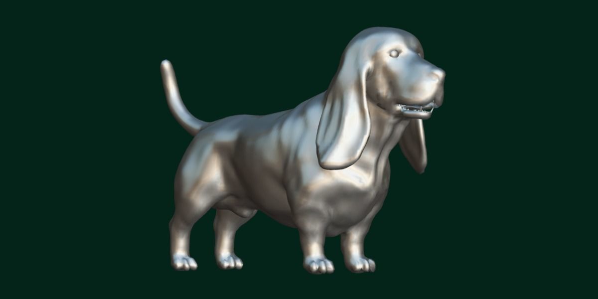 Basset Hound Dog Breed  3D model_4