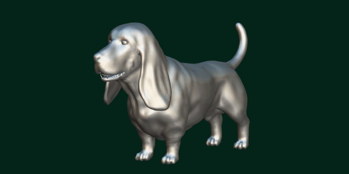 Basset Hound Dog Breed  3D model_5