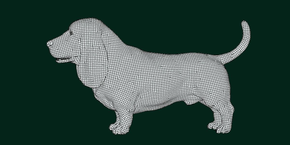 Basset Hound Dog Breed  3D model_6