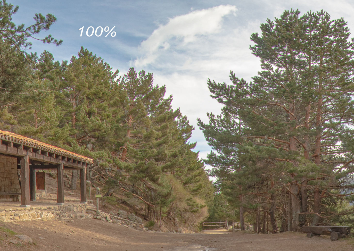 HDR 074 Low-poly 3D model_1