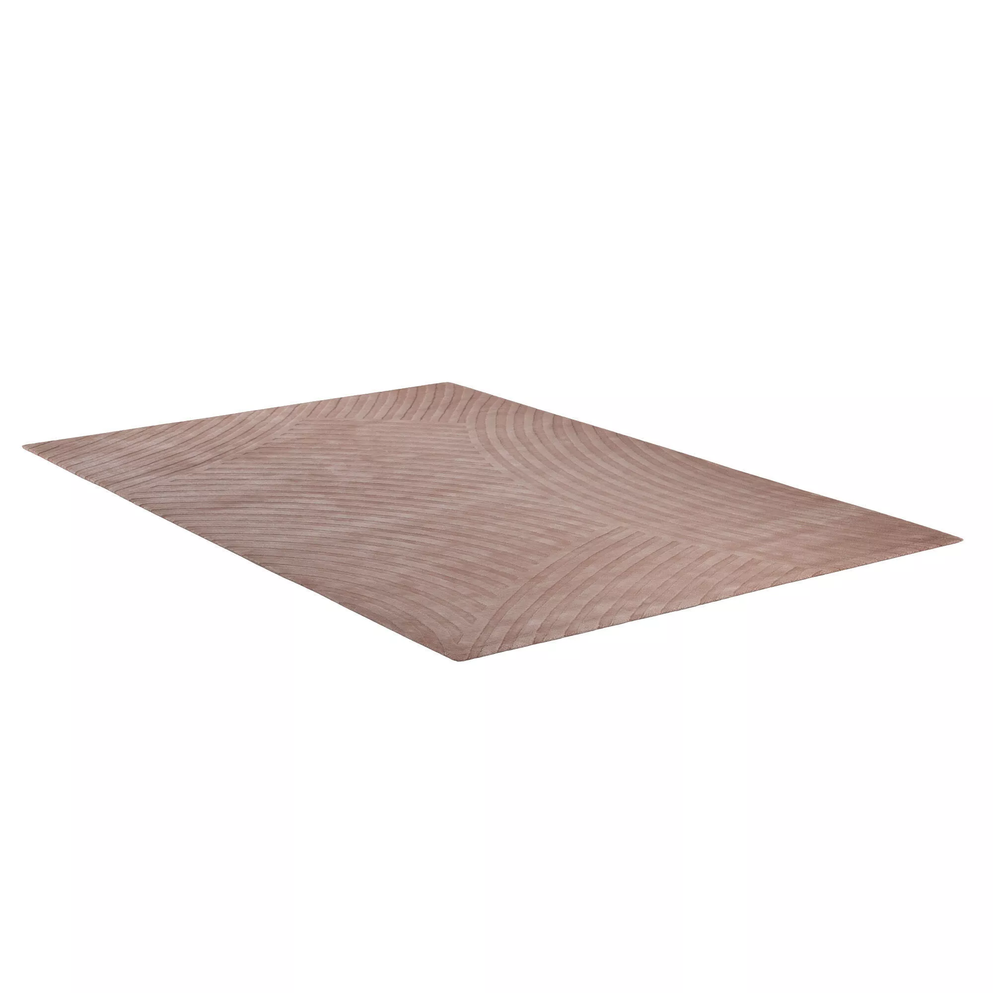 Sono Salmon 3D model