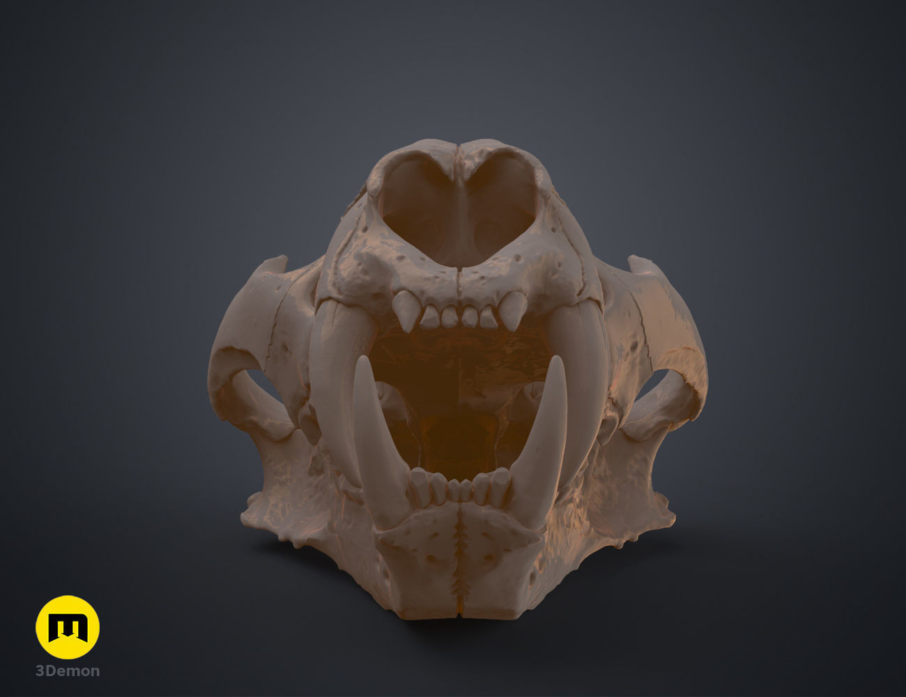 Tiger Skull Panthera Tigris Tigris realistic scan 3D print model_9