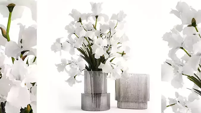 Realistic bouquet of white Iris flowers in a glass vase 365