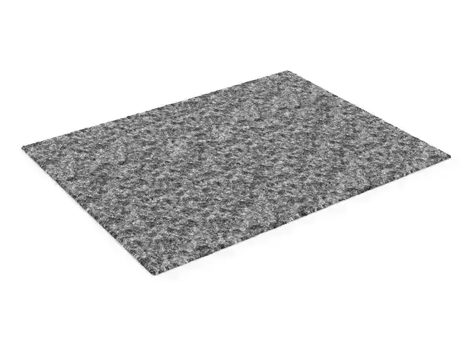 RUG H2000241