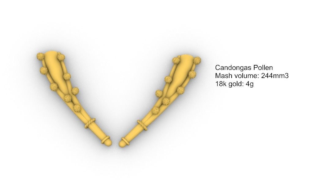 Pollen candongas 3D print model_4