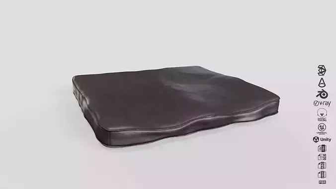 Used Cushion - Pillow