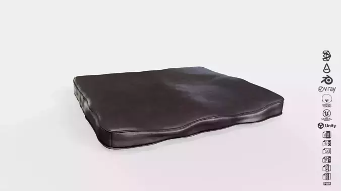 Used Cushion - Pillow