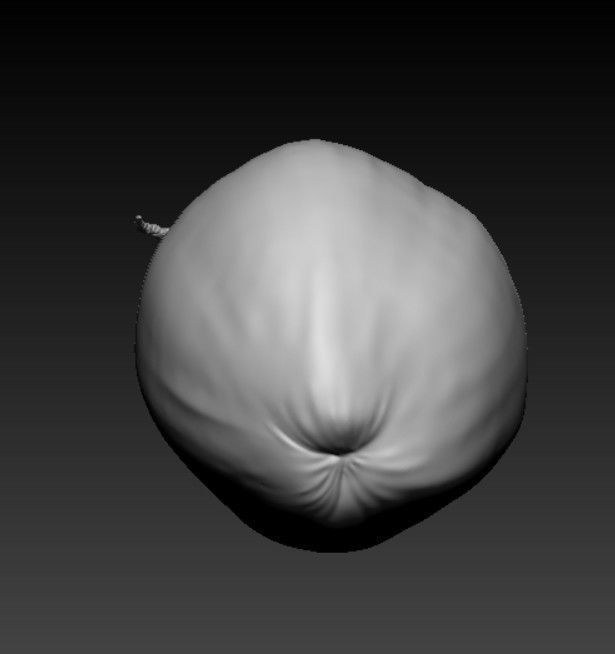 COCONUT- HIGH DETAIL - 3MF MULTICOLOR 3D print model_5