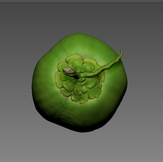 COCONUT- HIGH DETAIL - 3MF MULTICOLOR 3D print model_1