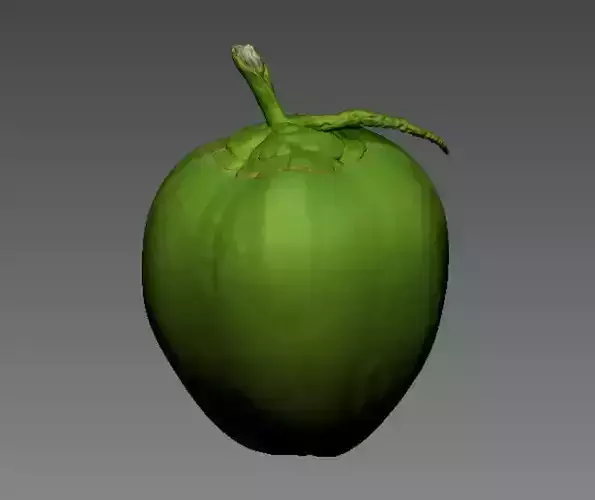 COCONUT- HIGH DETAIL - 3MF MULTICOLOR 3D print model