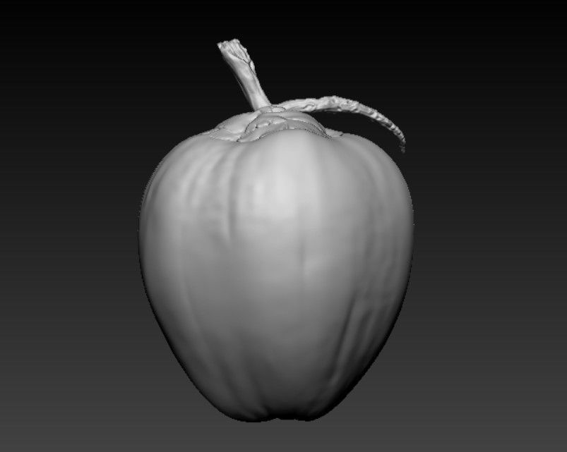 COCONUT- HIGH DETAIL - 3MF MULTICOLOR 3D print model_7