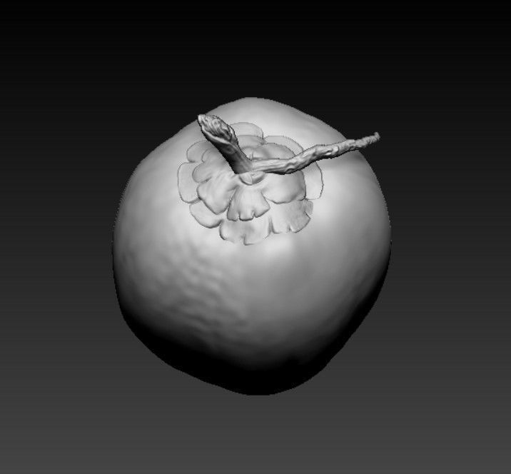 COCONUT- HIGH DETAIL - 3MF MULTICOLOR 3D print model_6