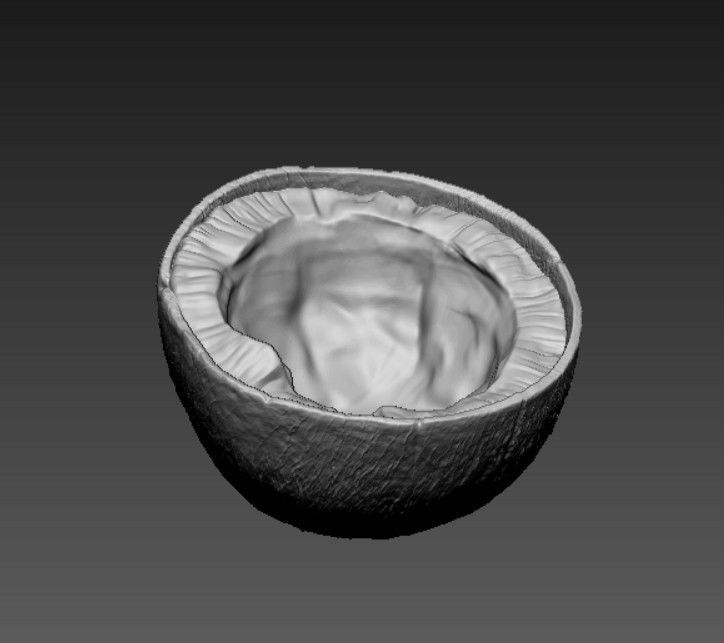 BROWN COCONUT- HIGH DETAIL - 3MF MULTICOLOR 3D print model_5