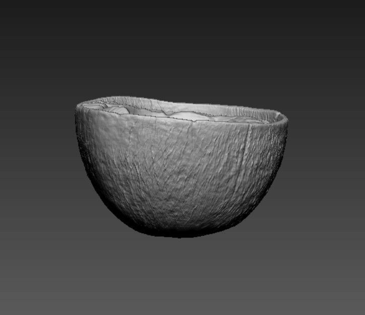 BROWN COCONUT- HIGH DETAIL - 3MF MULTICOLOR 3D print model_4