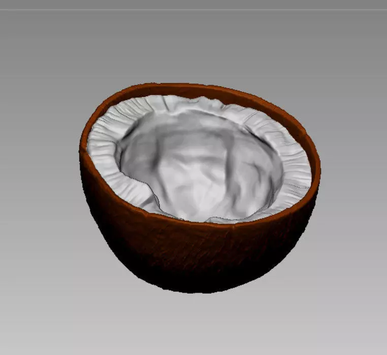 BROWN COCONUT- HIGH DETAIL - 3MF MULTICOLOR 3D print model_0