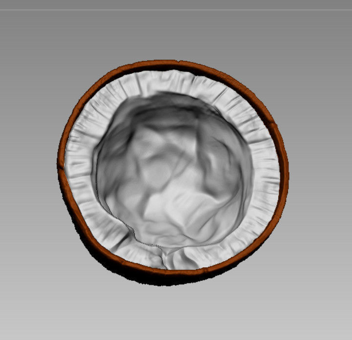 BROWN COCONUT- HIGH DETAIL - 3MF MULTICOLOR 3D print model_1