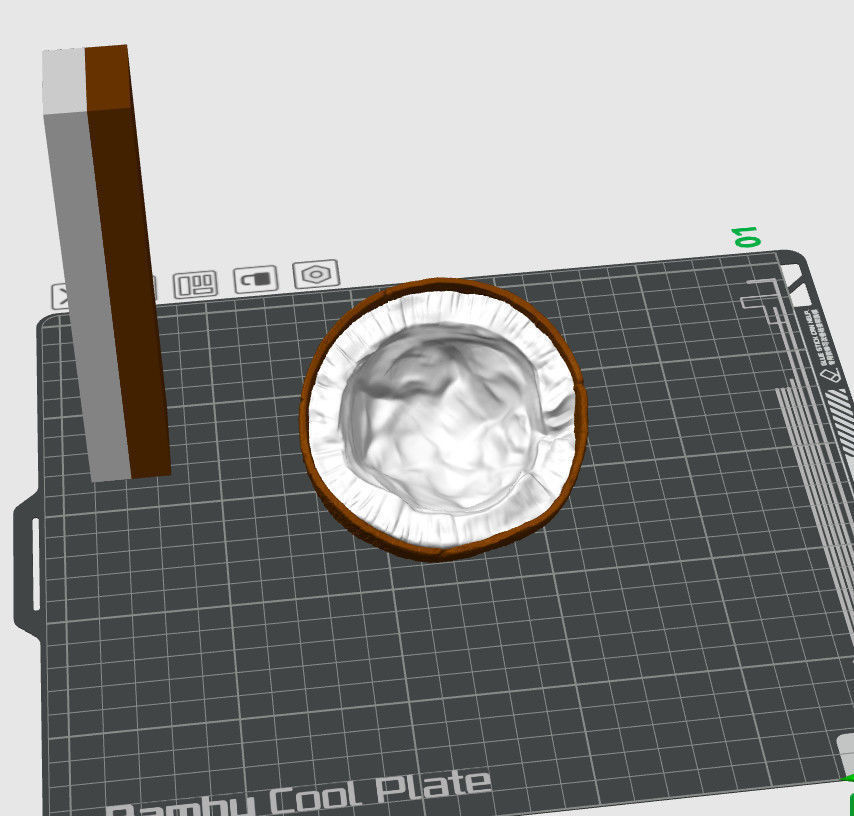 BROWN COCONUT- HIGH DETAIL - 3MF MULTICOLOR 3D print model_6