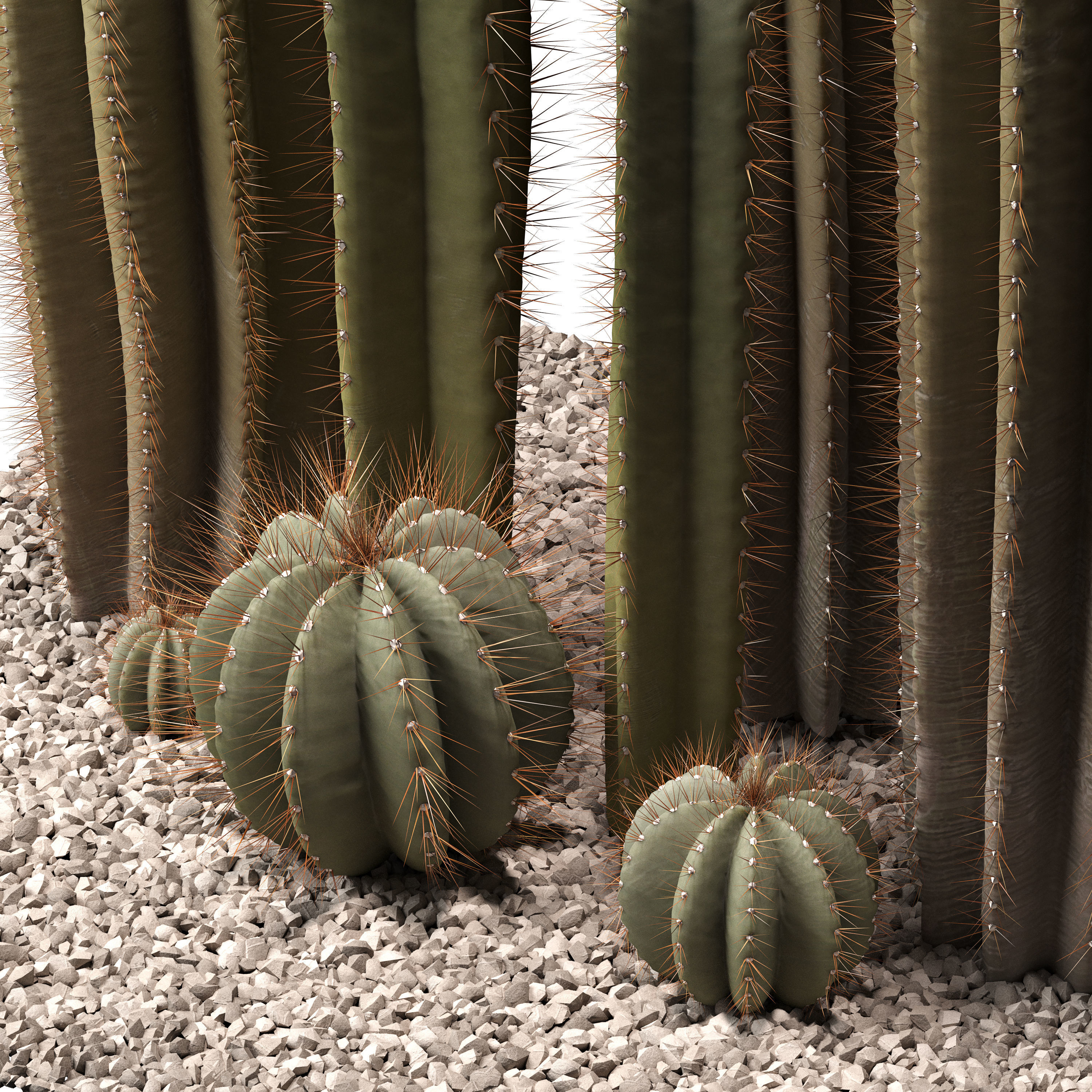 Cactus set 01 3D model_1