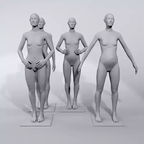 luxury female fashion mannequin set 2