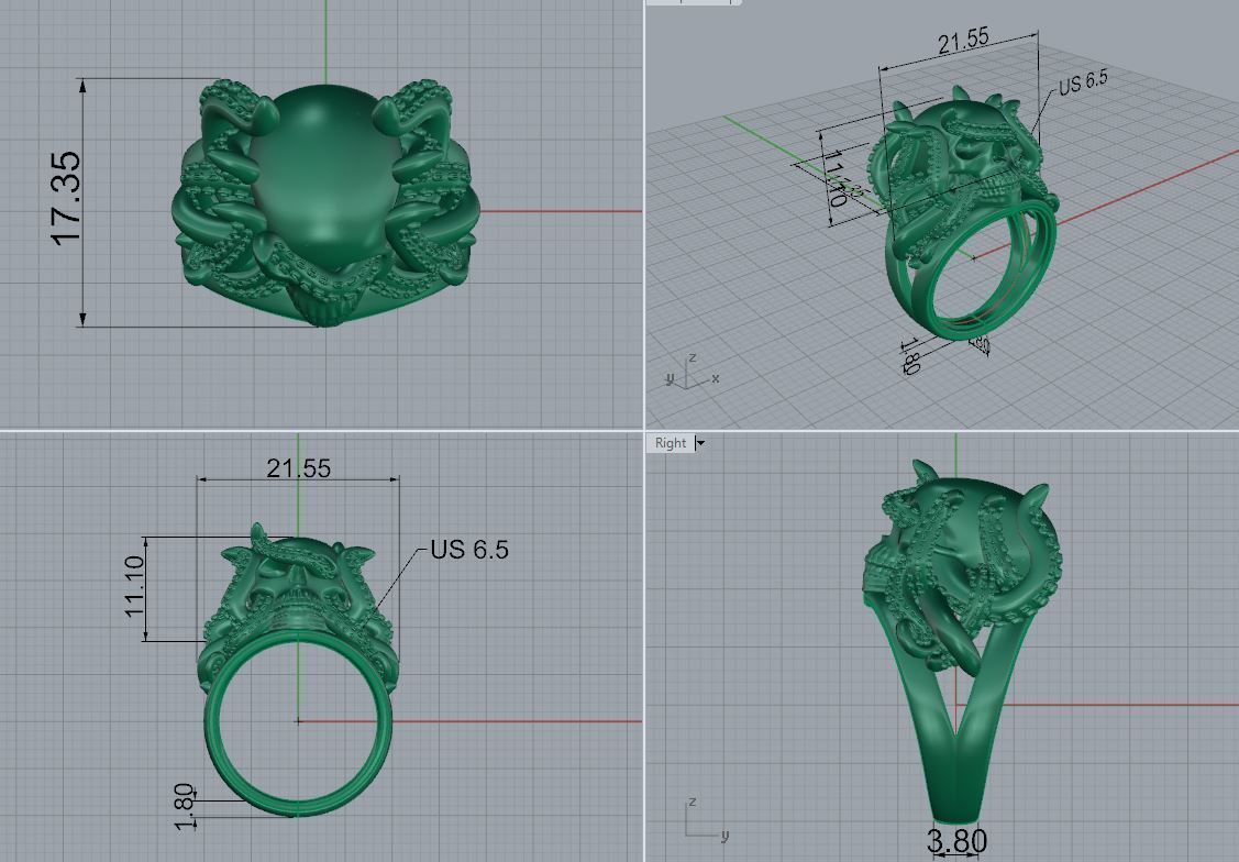 Ring Octopus Scull 3D print model_6