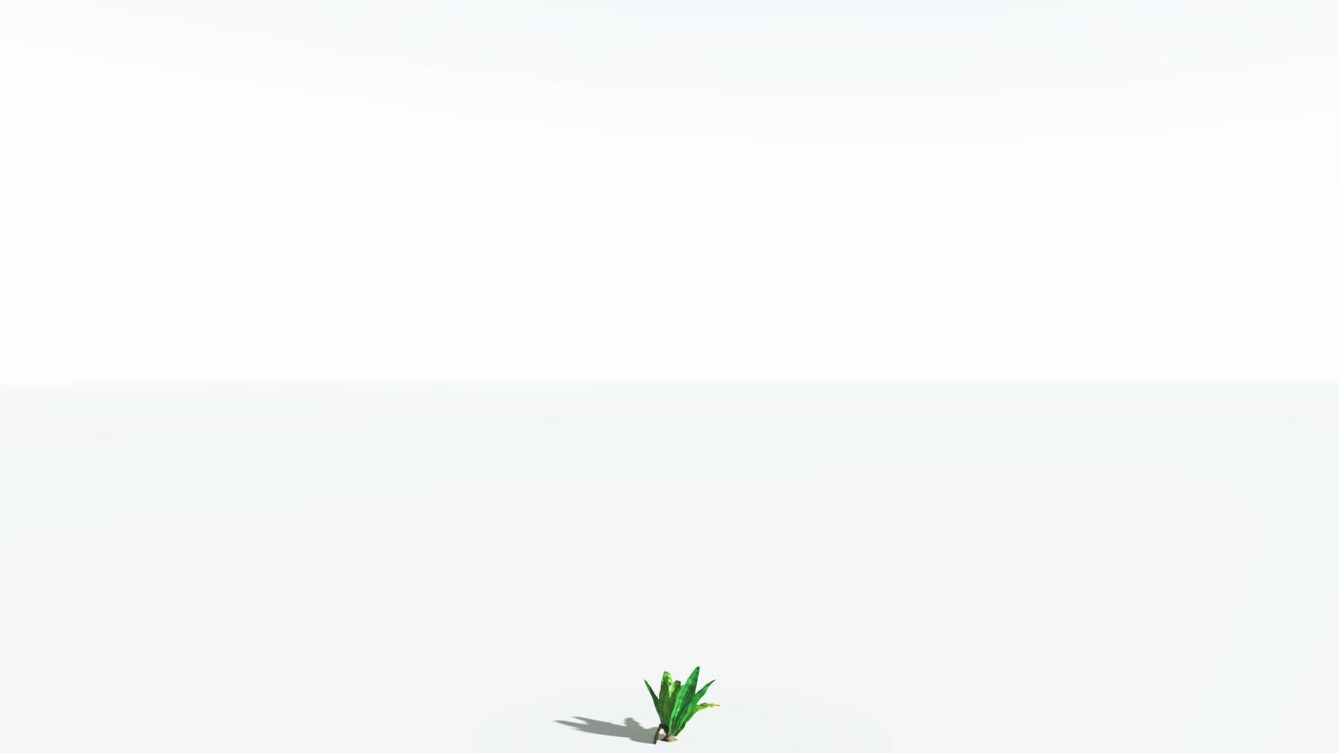 EVERYPlant Bjuvia Cycad 3 --12 Models-- 3D model_20