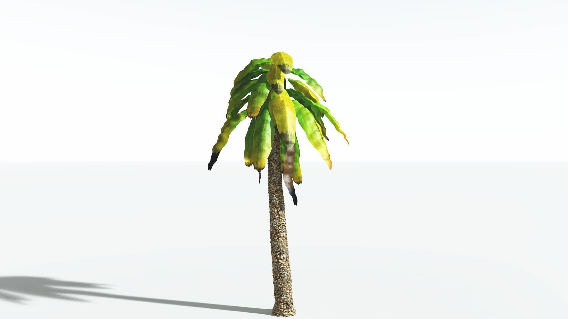 EVERYPlant Bjuvia Cycad 3 --12 Models-- 3D model_8